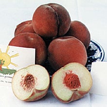 foto frutti di pesche Sant'anna